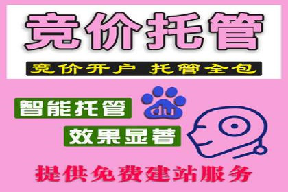 SEM推广策略：实操案例分享